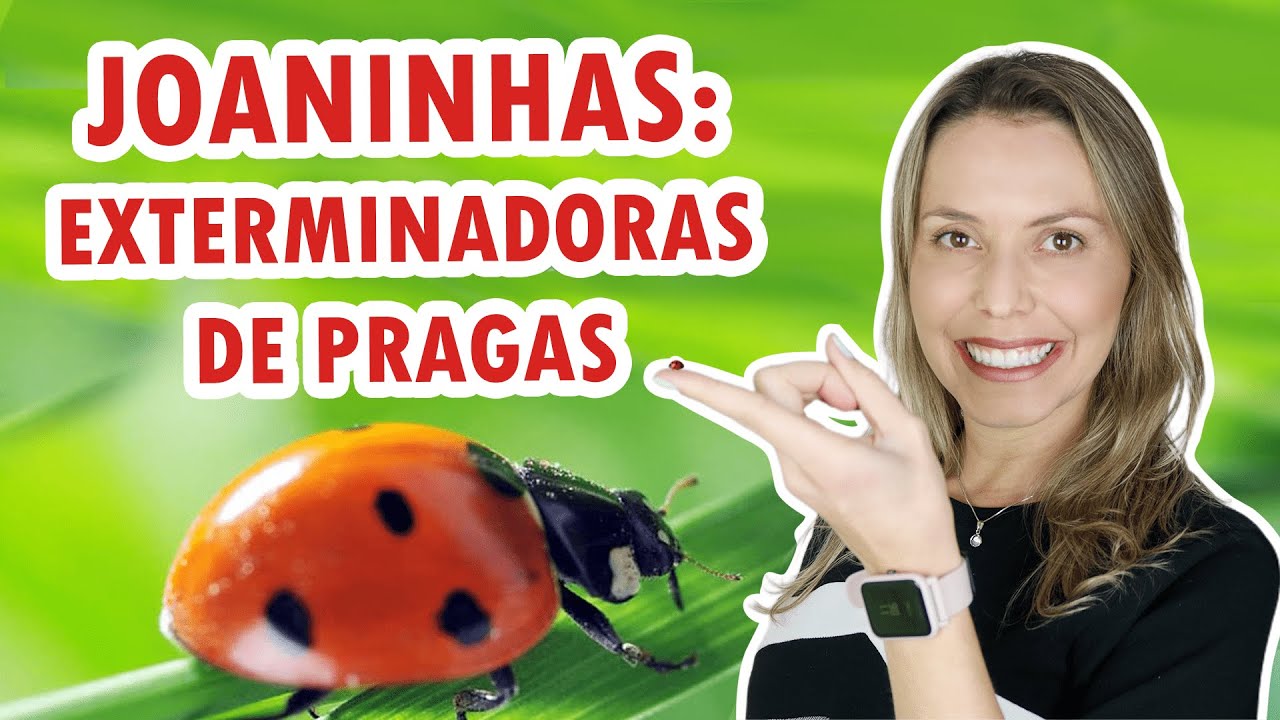O que é CONTROLE BIOLÓGICO | Acabe com as pragas da sua horta | DICIONÁRIO DO AGRO