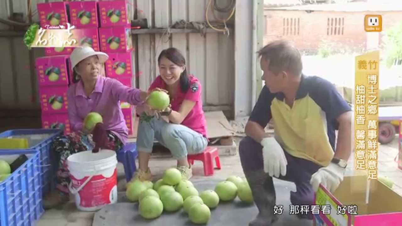 嘉義縣義竹鄉 【台灣名物誌 GiftTaiwan】解偉苓 第六十七集 20150124