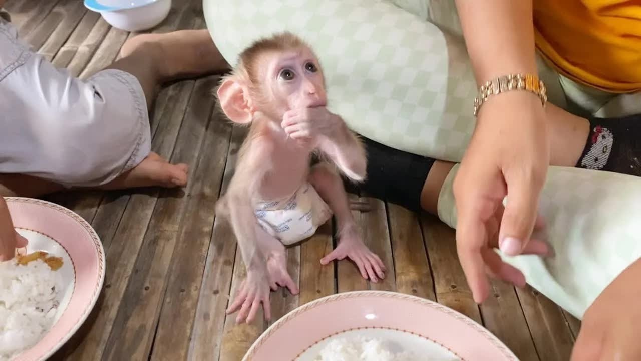 Awe  !! BB DORN Stare Mom Preparing Rice & Food For Family