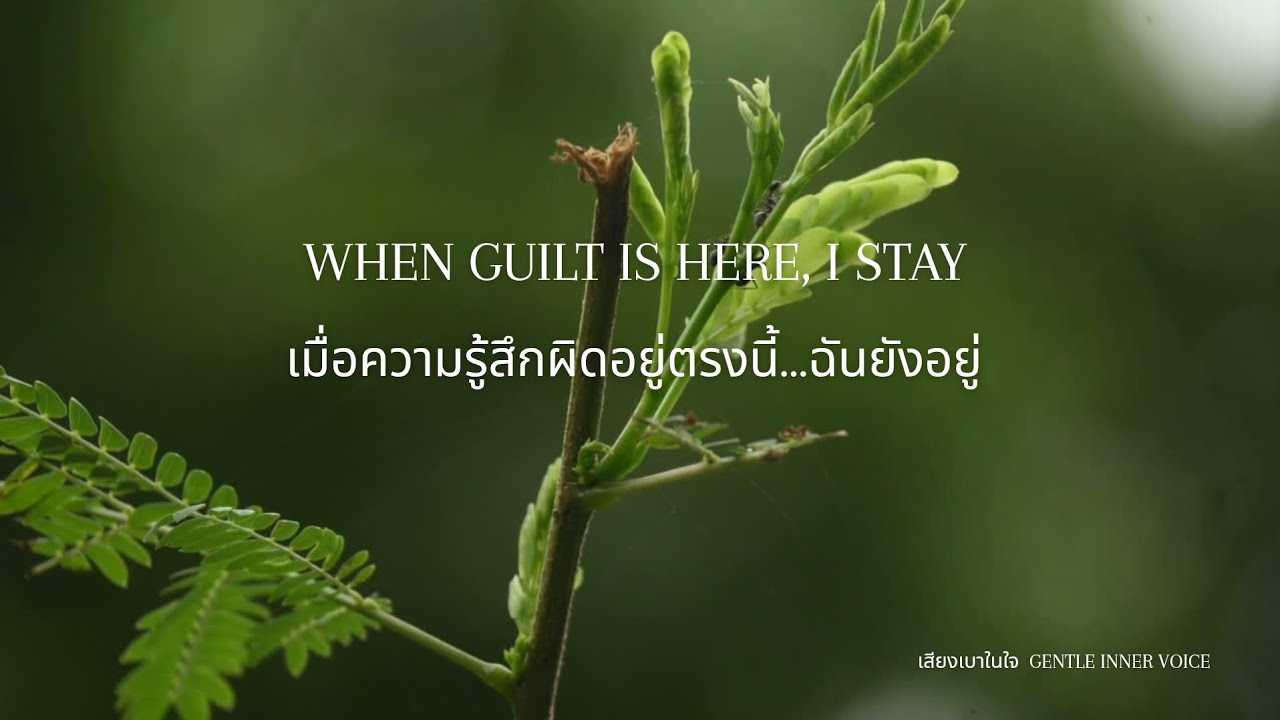 EP9 : เมื่อความรู้สึกผิดอยู่ตรงนี้ ฉันยังอยู่ WHEN GUILT IS HERE, I STAY