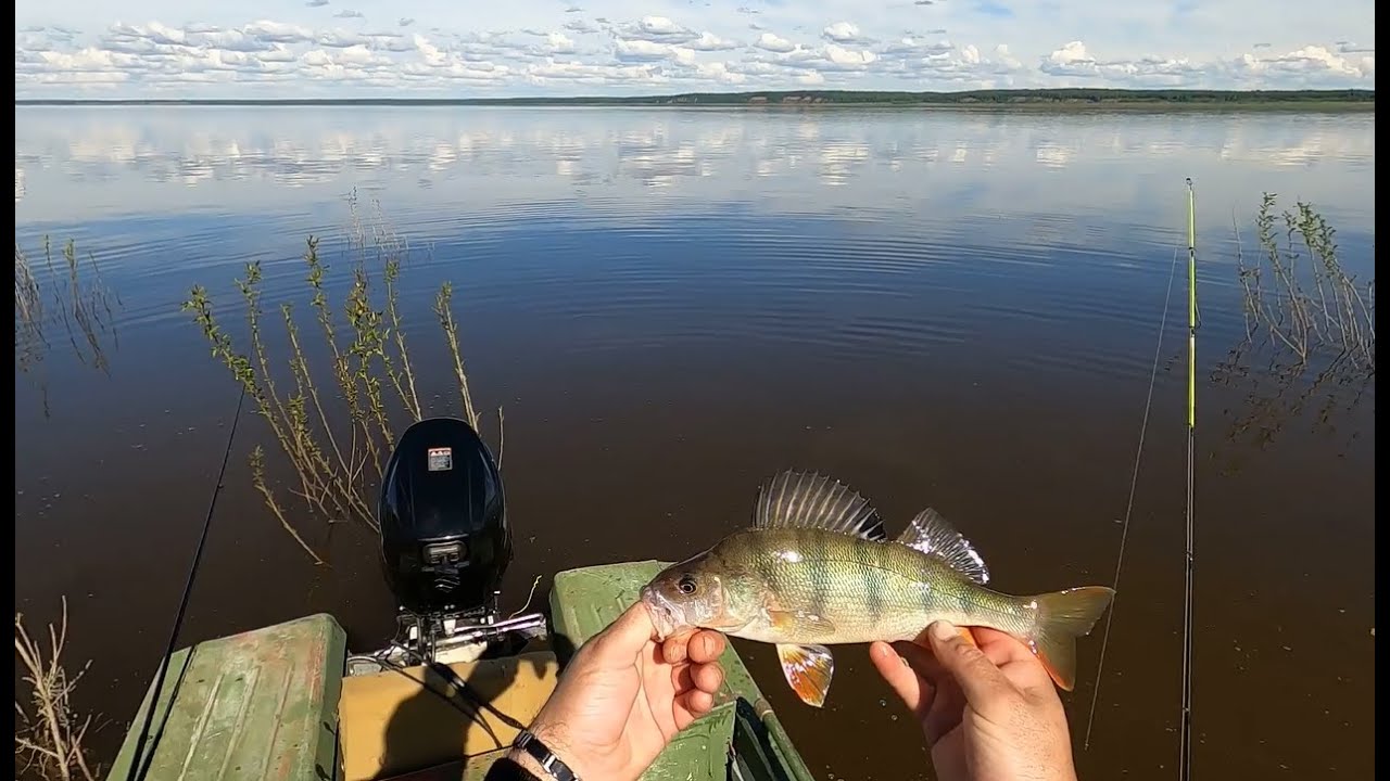 Рыбалка На Енисее,рыбы просто тьма..