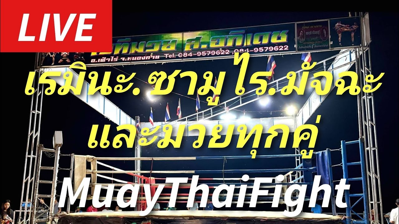#มวยไทย เรมินะ.ซามูไร.มัจฉะและมวยทุกคู่กำลังเริ่มจ้าREMINA.SAMURAI.Matcha Fight🥊決戦⚔️ #muaythai #ムエタイ