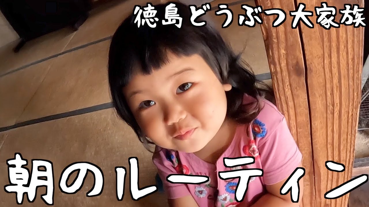 朝のルーティン#230【徳島どうぶつ大家族】【久しぶりに晴れた日】
