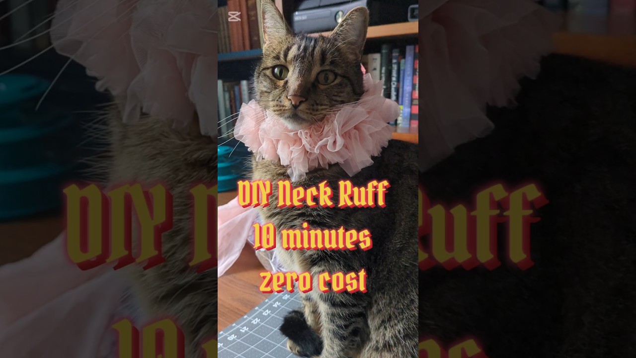 Easy & zero waste neck ruff tutorial #recycledfashion #zerowastecrafts #rococo #diycraft #diyfashion