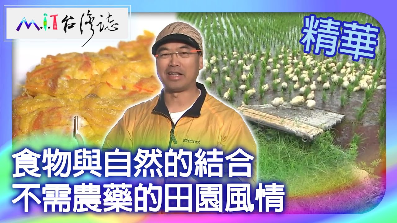 食物與自然的結合　不需農藥的田園風情｜苗栗縣 麥覺明【 ‪‪‪‪ ‪‪‪‪‪‪‪‪‪‪‪‪‪‪‪‪‪‪‪‪‪‪‪‪‪‪‪‪ ‪‪‪@ctvmit  513集】