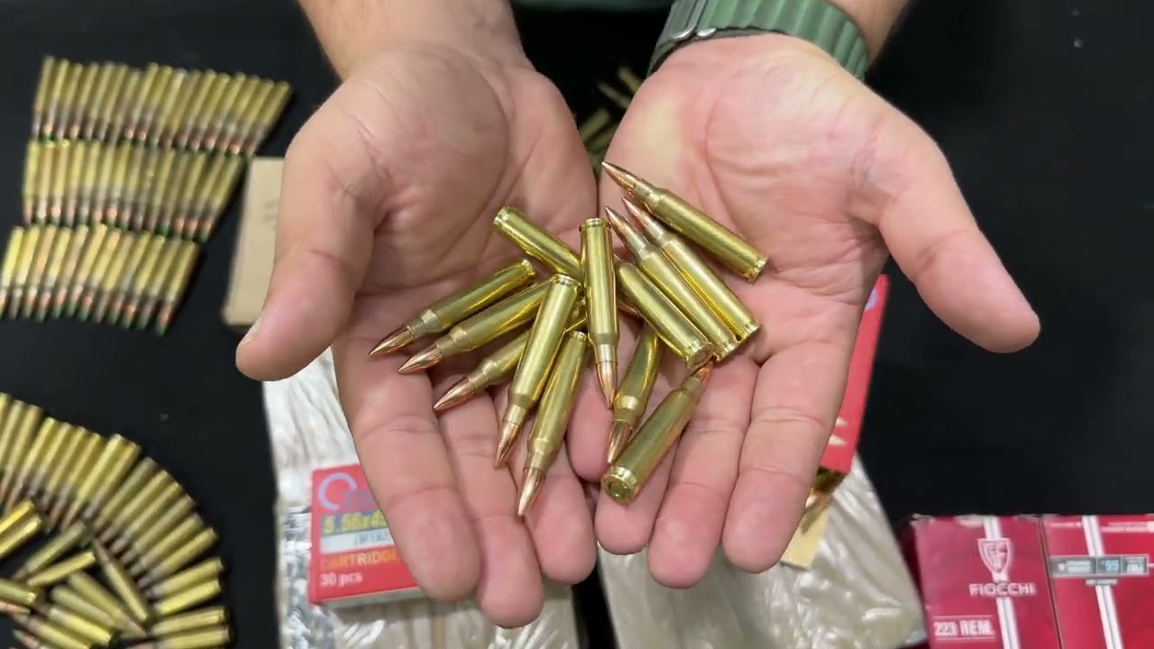 All kinds 223 Rounds - Nato, ZSR, Lupo & Fiocchi