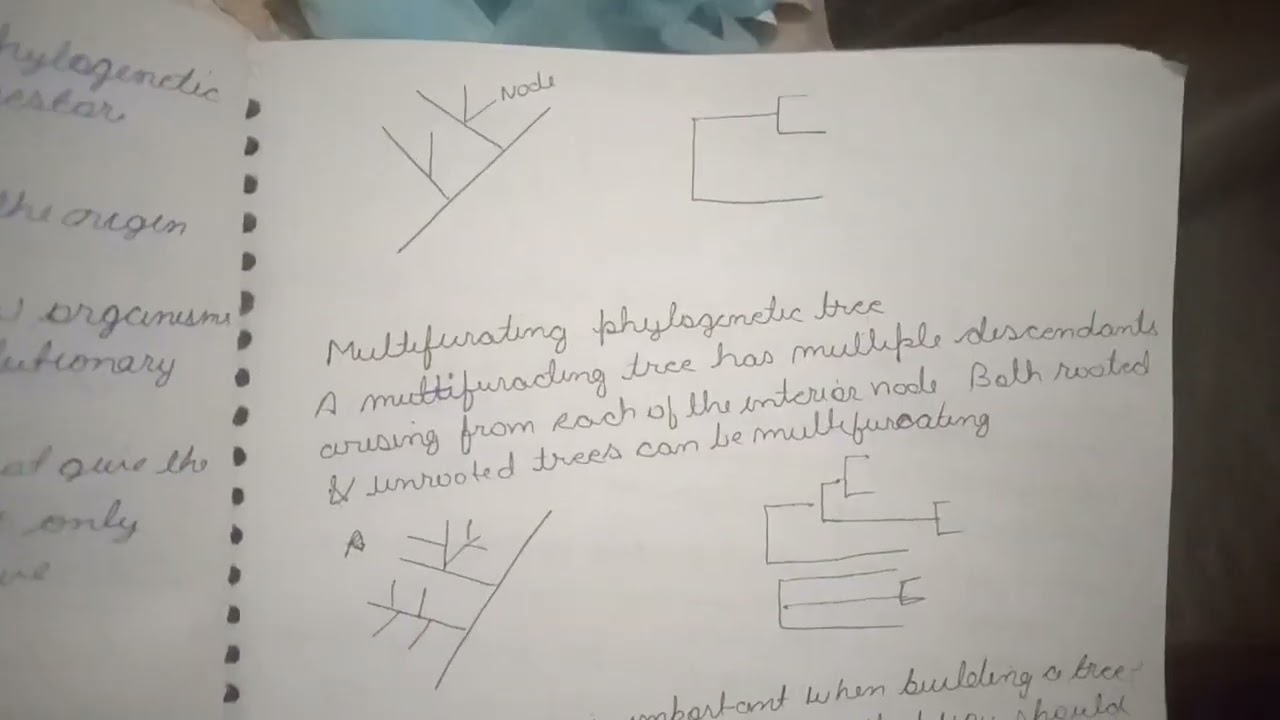 Phylogenetic tree msc botany cytogenetics and evolution #mscbotany @science-p-t