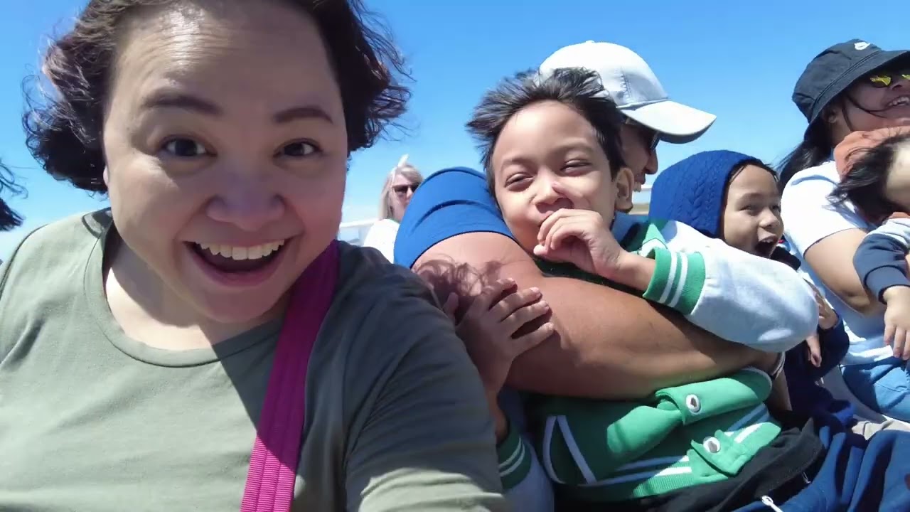 Phillip Island - Seal Rocks Cruise | Rosa All Day