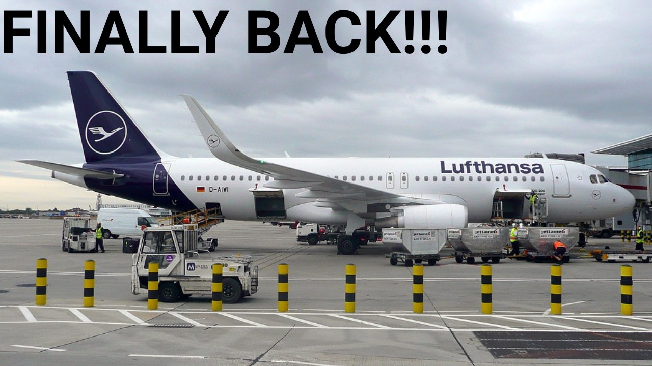 FINALLY BACK!!! | Lufthansa (BUSINESS) | Airbus A320 | London Heathrow - Frankfurt