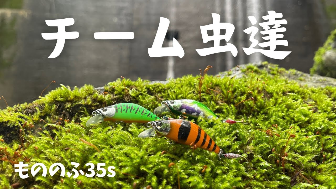 【渓流ルアー】もののふ35s虫カラーでアマゴ釣ってみた！