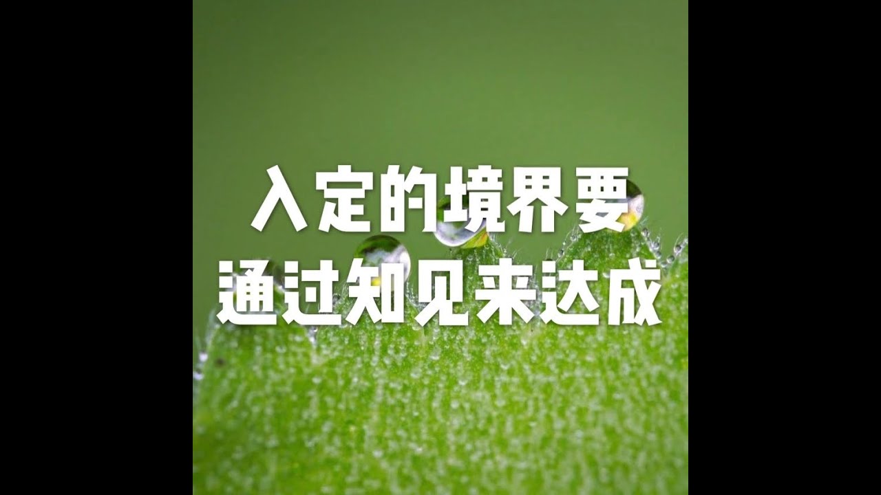 201808 入定的境界要通过知见来达成50649