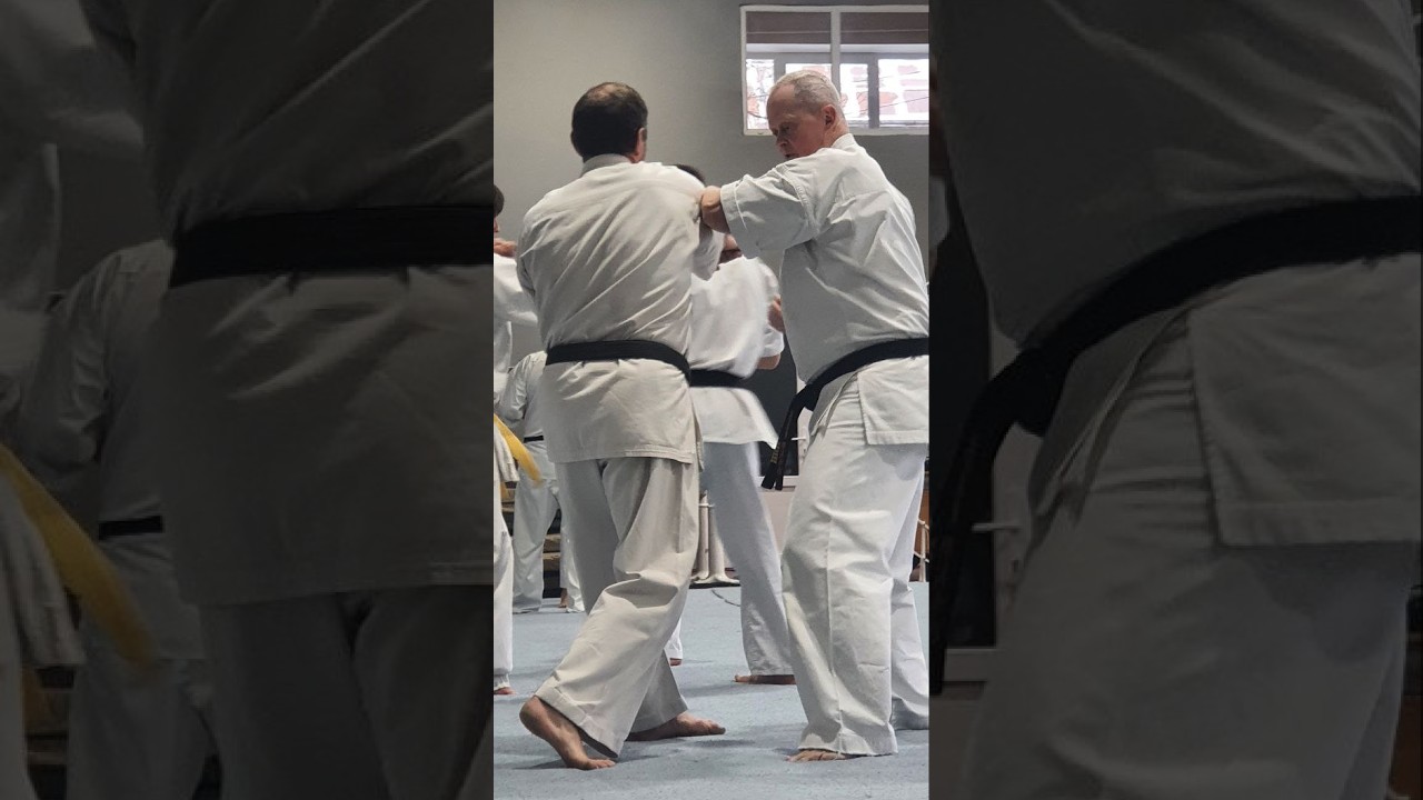 Kyokushinkai Karate -Shihan Stanislav Shmat-2025-12- Tai Sabaki Waza - RENRAKU#95