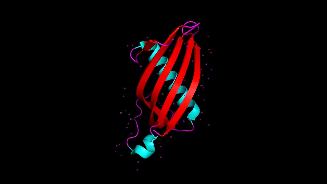 Cystatin Rotation