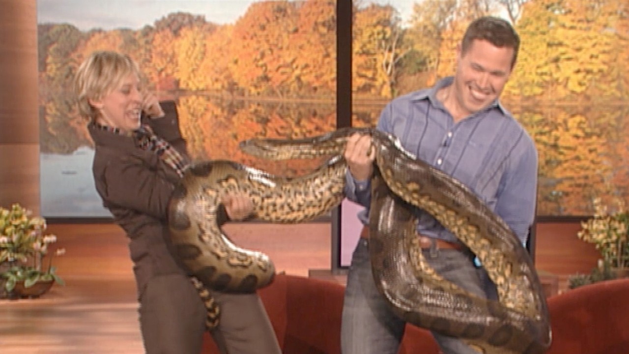 Anaconda Goes for Ellen – Full Cut