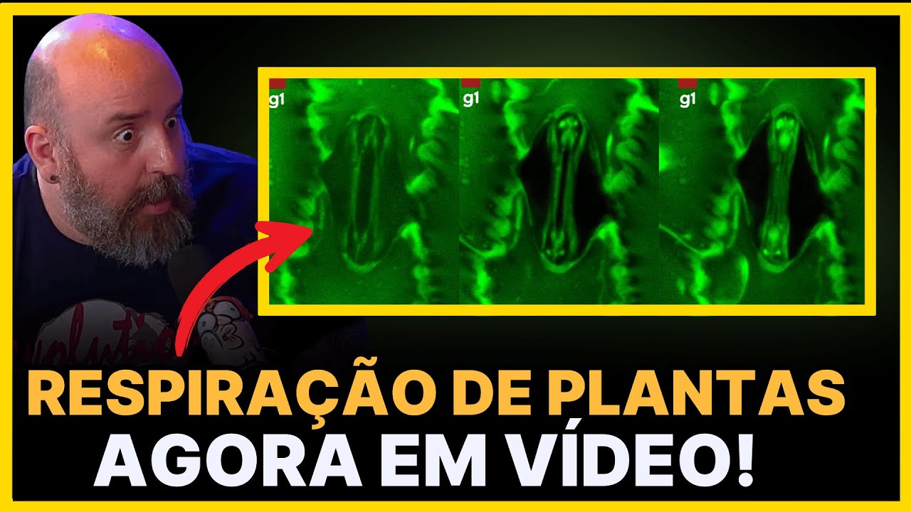 VÍDEO INCRÍVEL MOSTRA PLANTAS RESPIRANDO! ASSISTA!