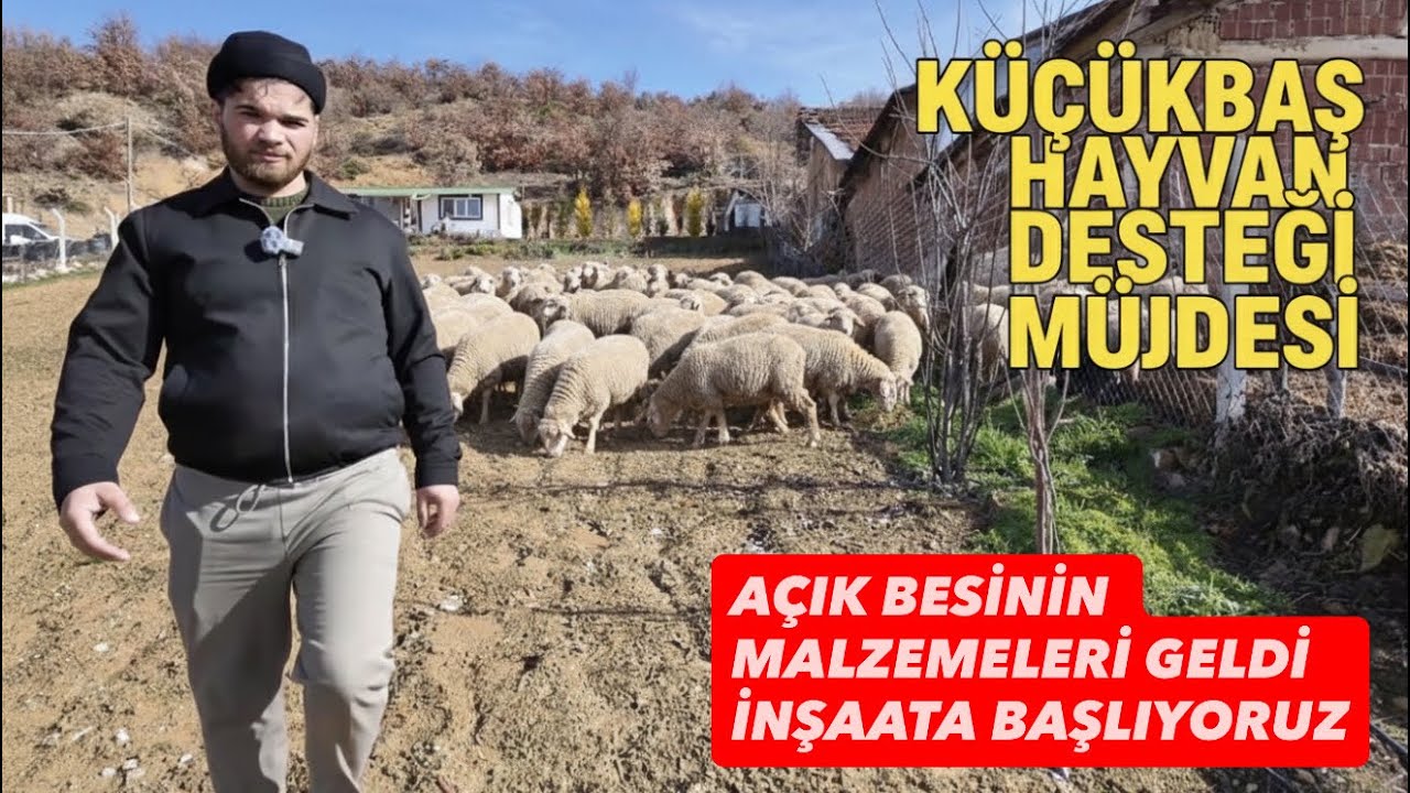 SIFIR FAİZLİ DEVLET DESTEKLİ KOYUNA BAŞVURUYORUM ŞARTLAR NELER ?   