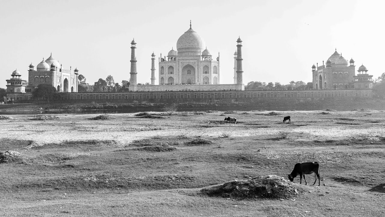 Dal Taj Mahal a Varanasi, un viaggio intenso nel cuore dell'India - Ep. 4 #tajmahal #varanasi #india