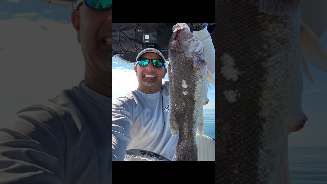 Are You Ready for Some Tog Fishing?  Let&rsquo;s Go!