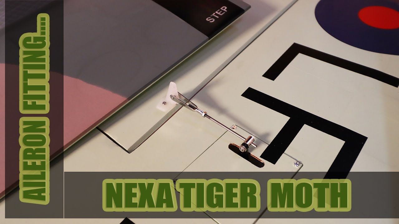 Проблема с элеронами у самолета Nexa Tiger Moth