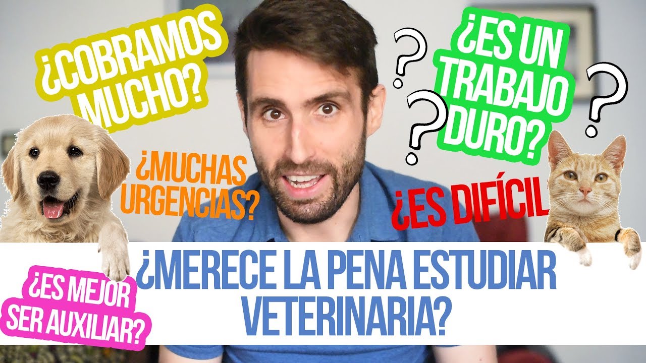 &iquest;Te recomiendo estudiar Veterinaria? | &iquest;Vas a encontrar trabajo? &iquest;Cobramos bien?