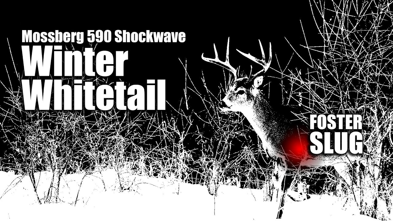 Deer Hunting with Mossberg 590 Shockwave + Low Recoil Foster Slugs = Steak