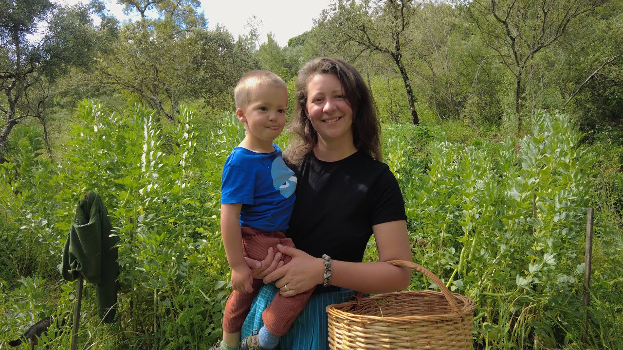 Three months of growing food for my family - Spring