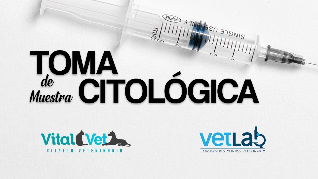 Toma de muestra citológica