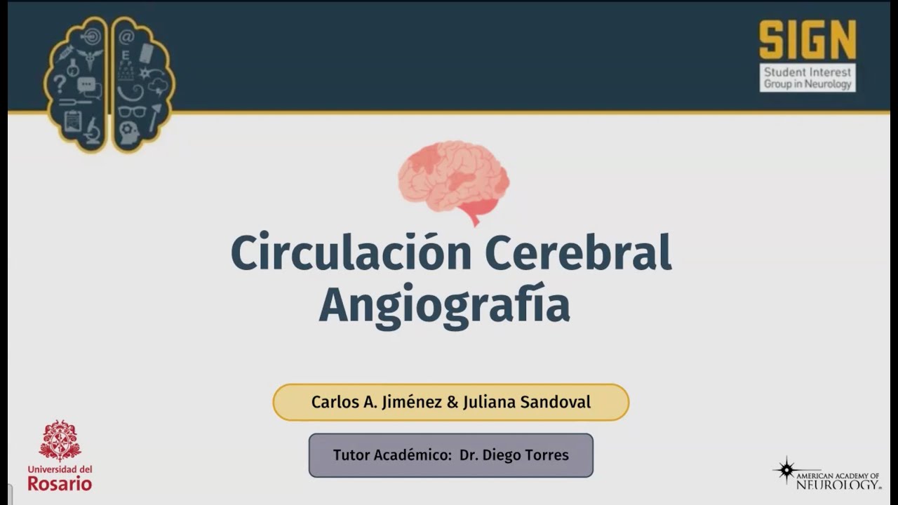 Circulación cerebral en angiografía