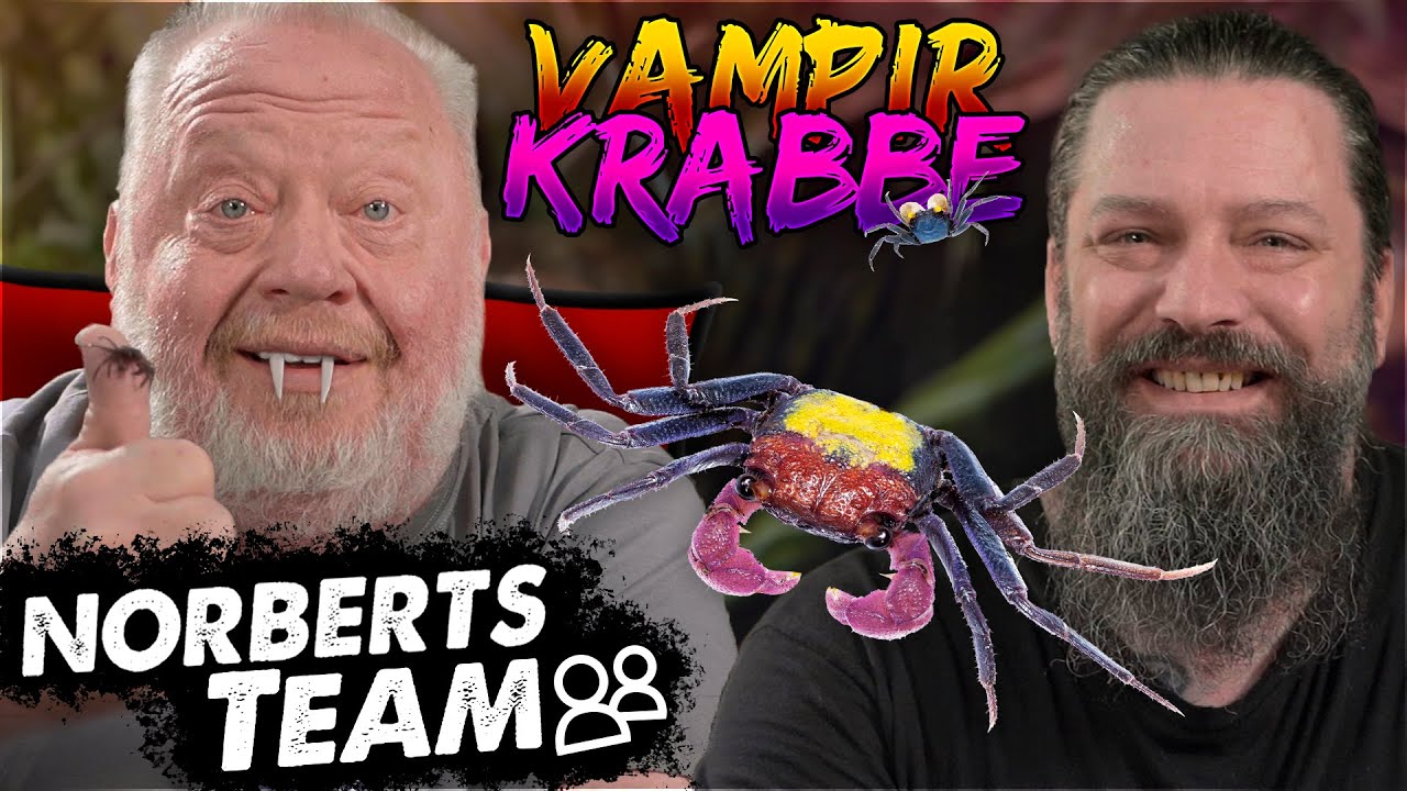 VAMPIRKRABBE | NORBERTS TEAM | Zoo Zajac