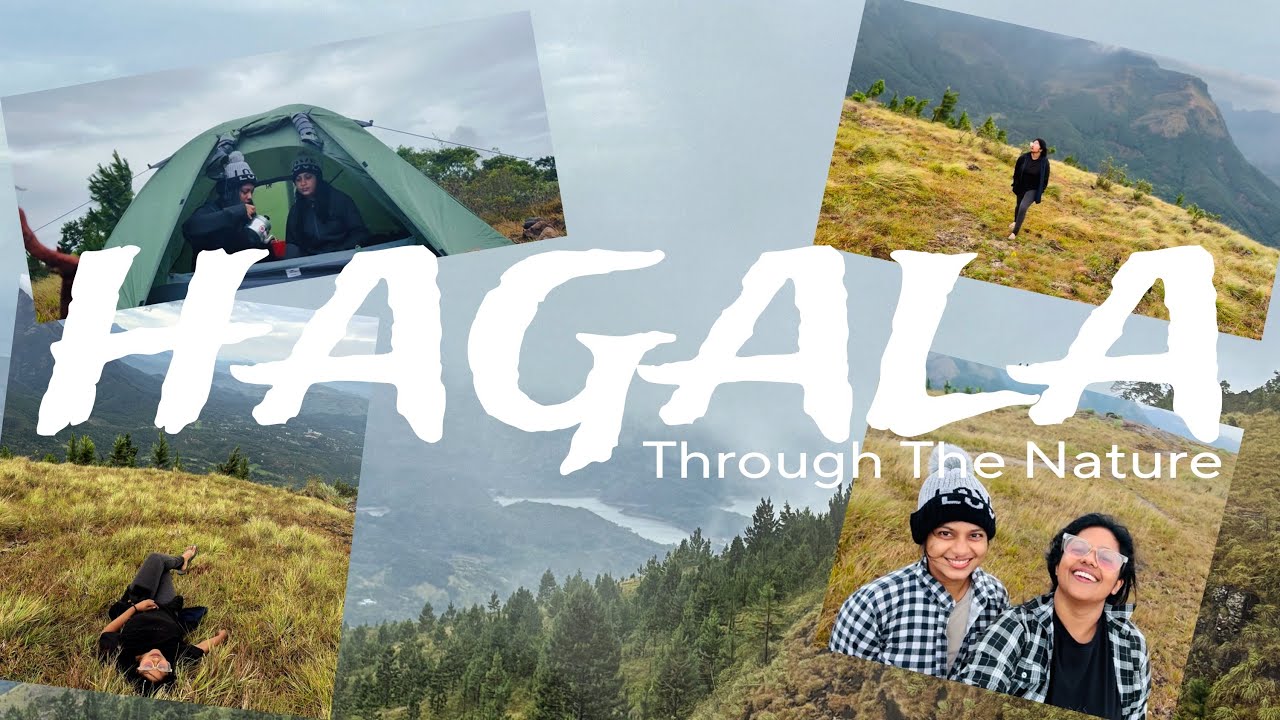 හාගල | හාවාගල ⛰️ පාර වරදින්නැතුව හාගලට යන්න 🍀 Hagala | Hawagala Camping ⛰️@ThroughTheNature-k2n  🌿🌼