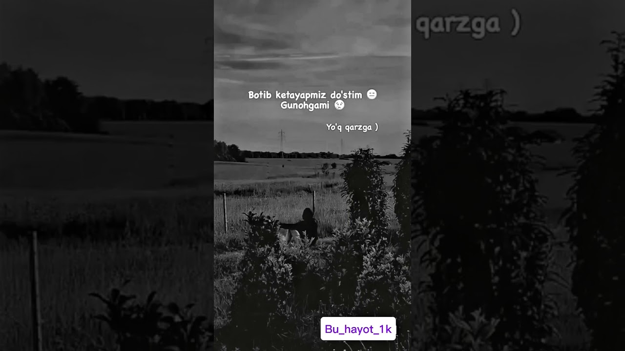 #love #rec #rek #lyrics #recmusic #sad #uzbek #reks #rekstar #song