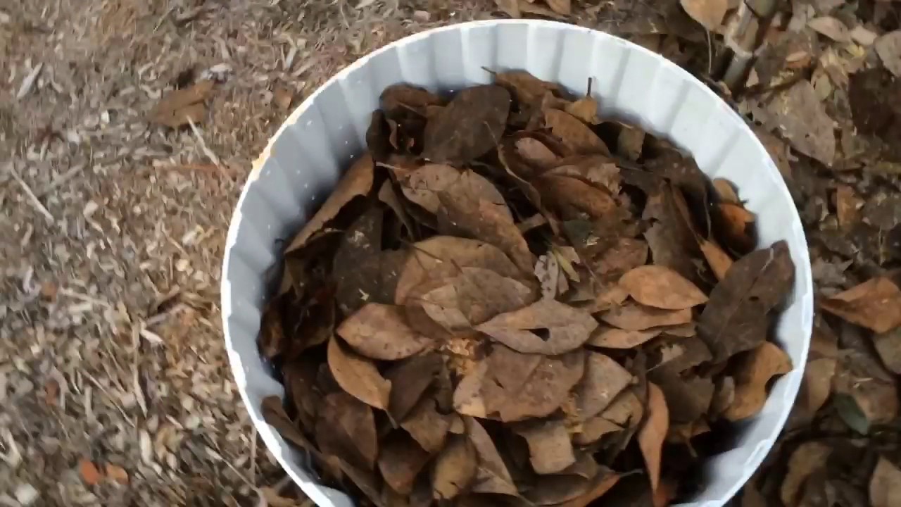 Washer drum carrot experiment part 1