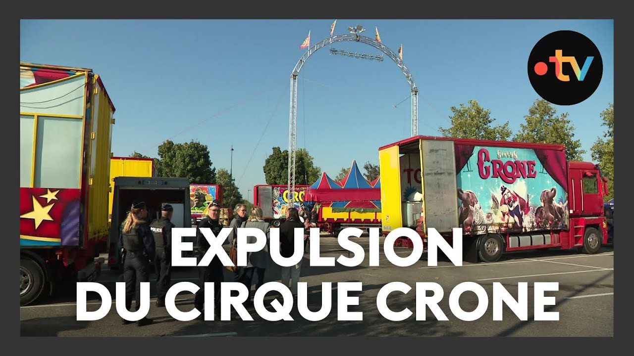 Expulsion du cirque Crone, installé illégalement sur un parking à Essey-lès-Nancy