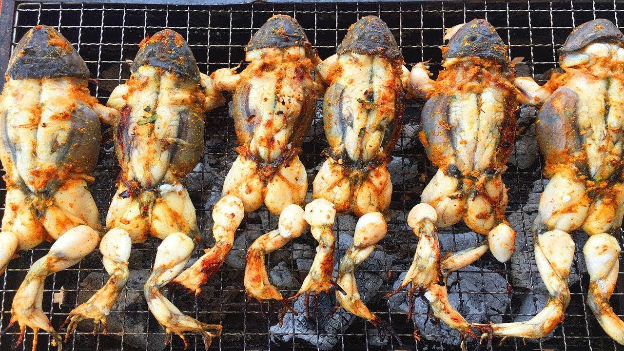 Cooking Frog on Rock for Lunch -  Cook frog BBQ eating Delicious