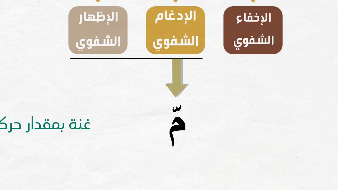 الإدغام الشفوي والإظهار الشفوي | 7 