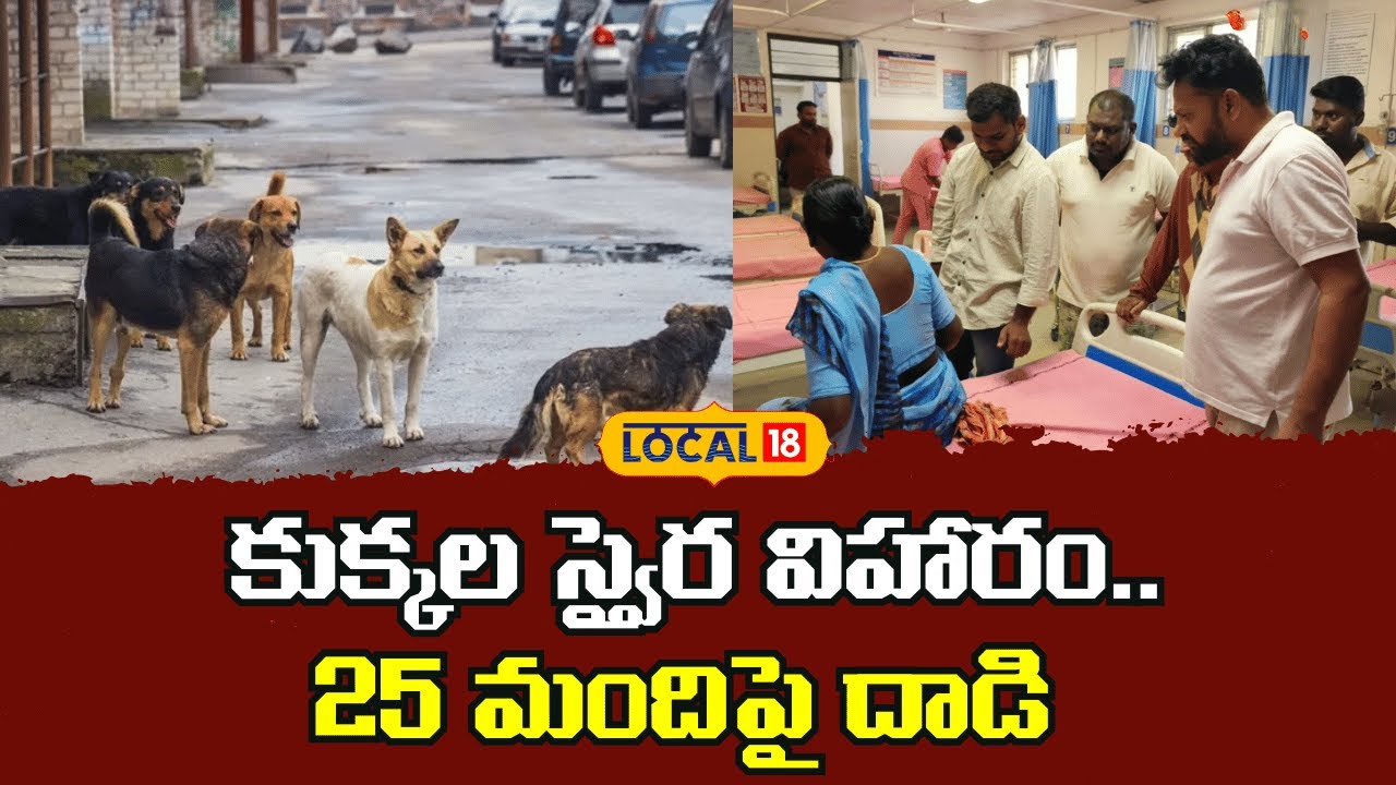 Stray Dog Attack Injures 25 People |  కుక్కల స్వైర విహారం.. 25 మందిపై దాడి | #local18V