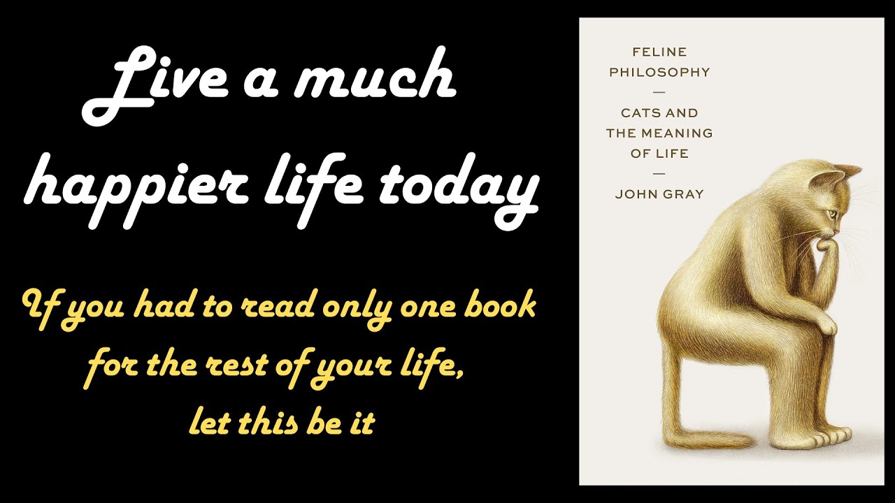 Feline Philosophy by John Gray, Book Summary, Takeaways