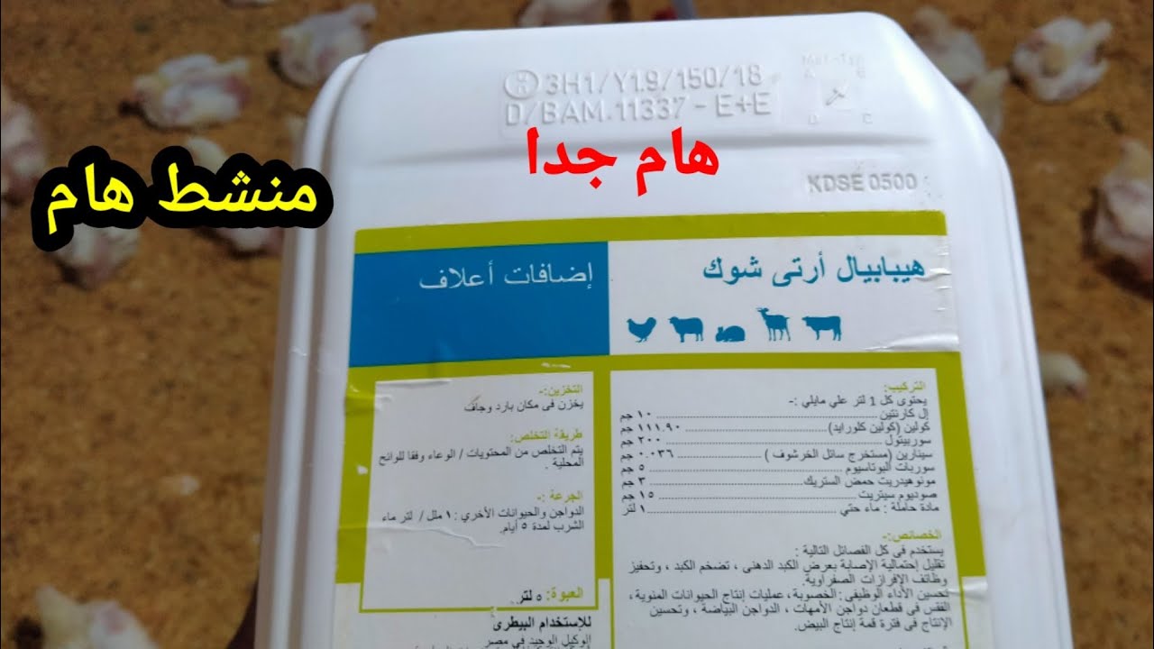 اليوم الثاني والعشرين//فوائد غسيل الكبد والكلي للفراخ