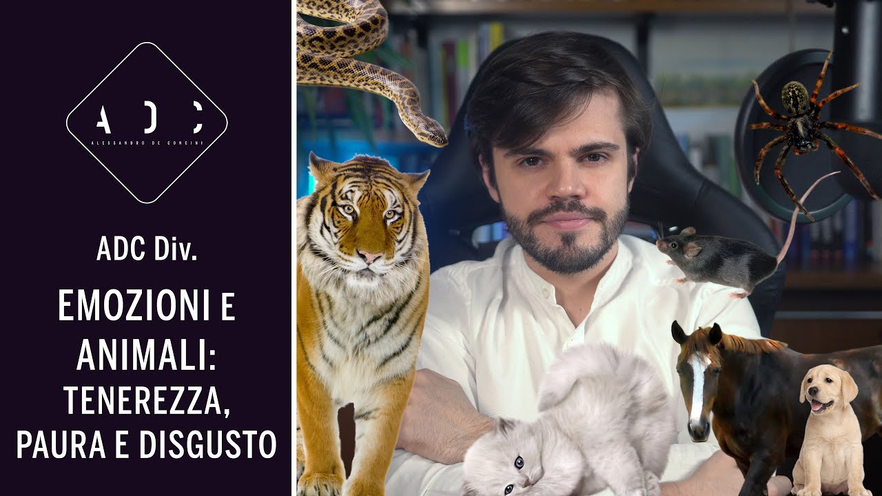 Perch&eacute; hai PAURA dei RAGNI? - Lo spiega la SCIENZA