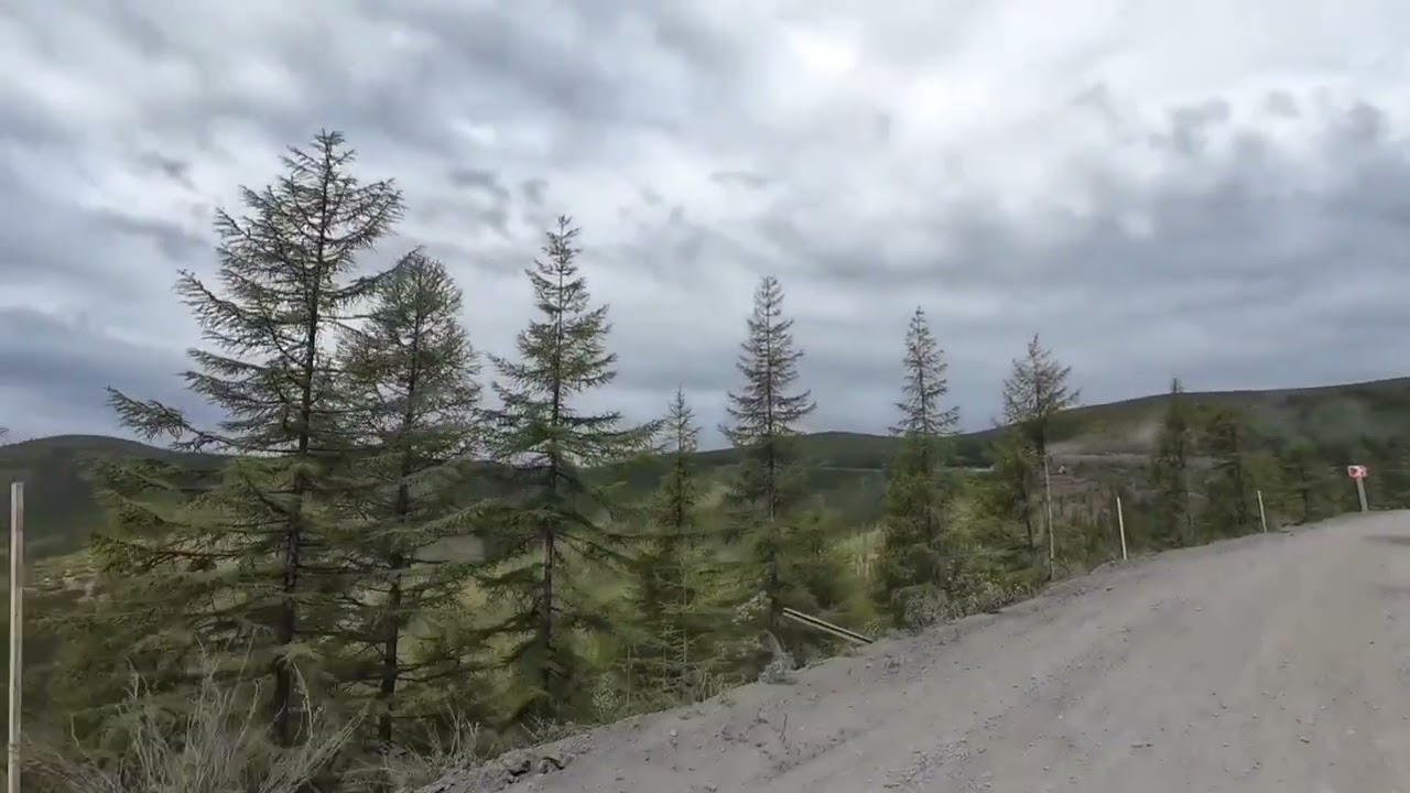 26 января 2026 г.