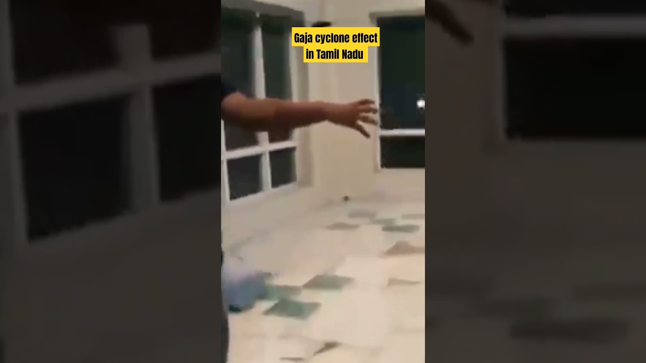 Gaja cyclone effect in Central University of Tamil Nadu