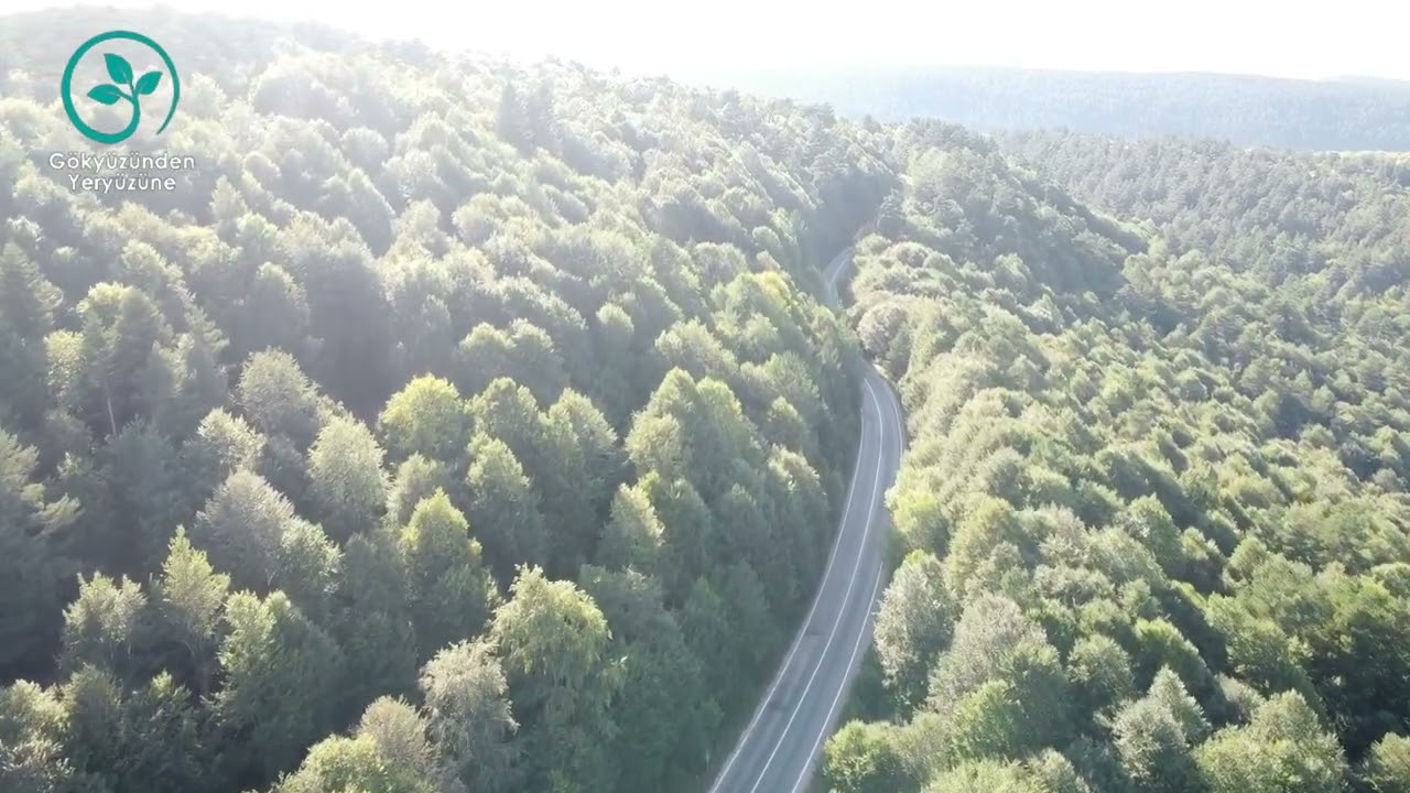 Ordu / Mesudiye - Arpaalan Köyü 🌿🍃🌱