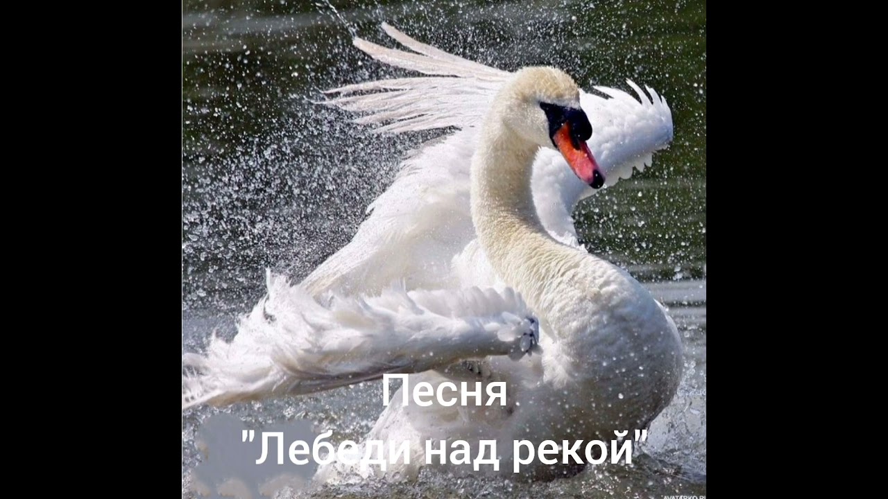Песня 