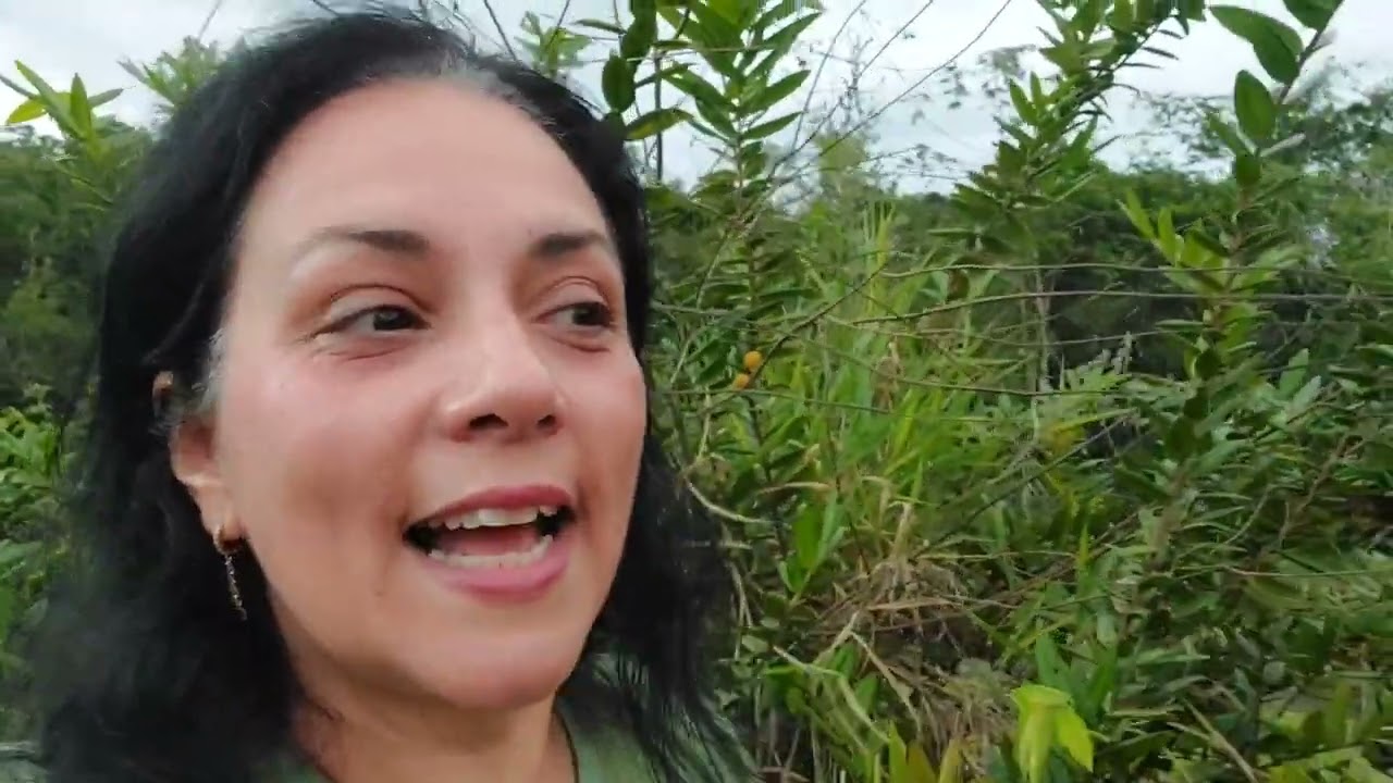 Frutíferas e Horta no Rancho 
