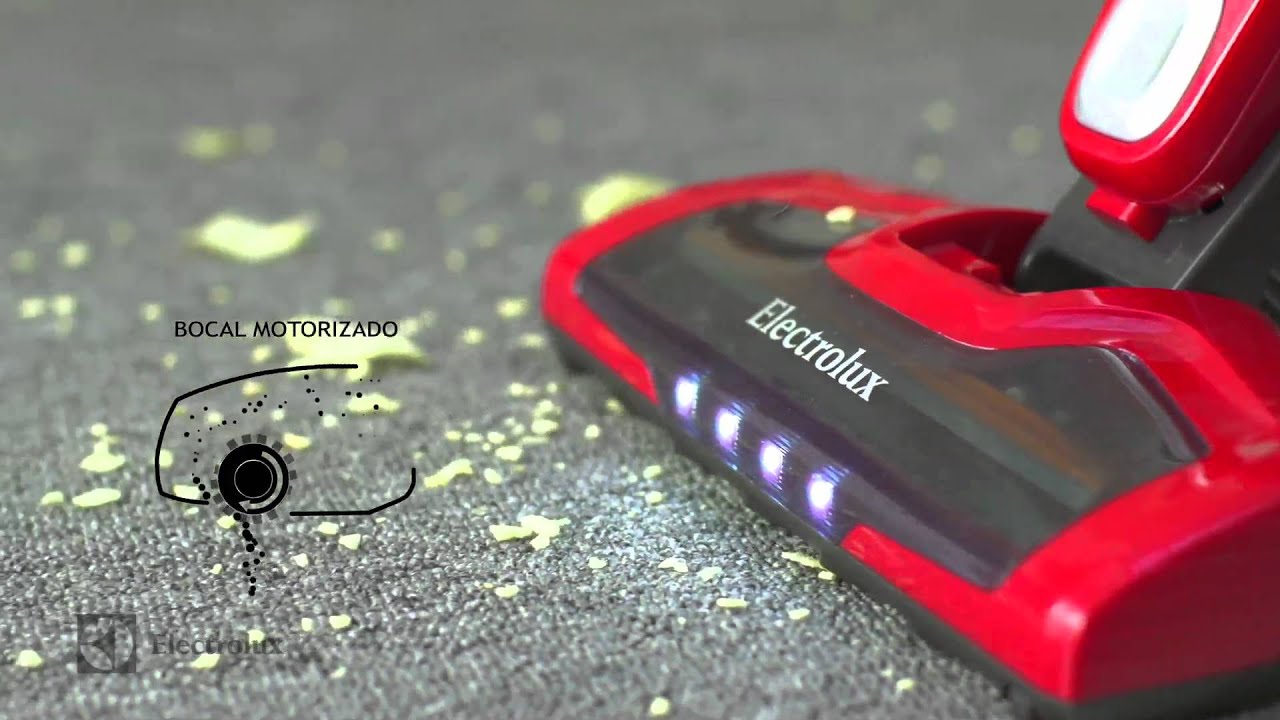 ERG13 Electrolux