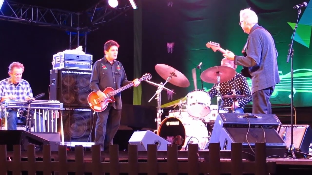 Bill Frisell - Telstar (Halifax Jazz Festival 2014)