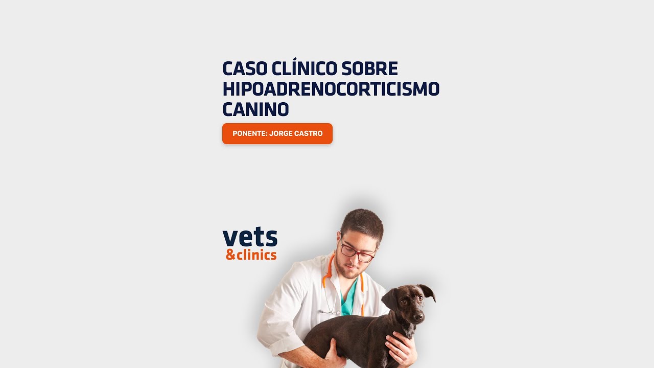 1. #Clips4Vets  Hipoadrenocorticismo canino