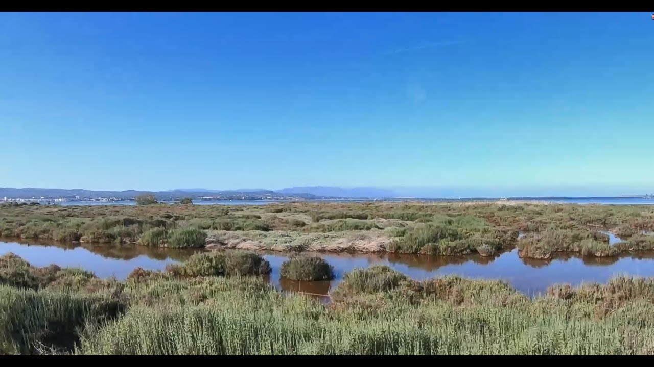 VLOG 11 - Mei 2019 Flamingo's in het mooie Natuurgebied bij L'Ampolla