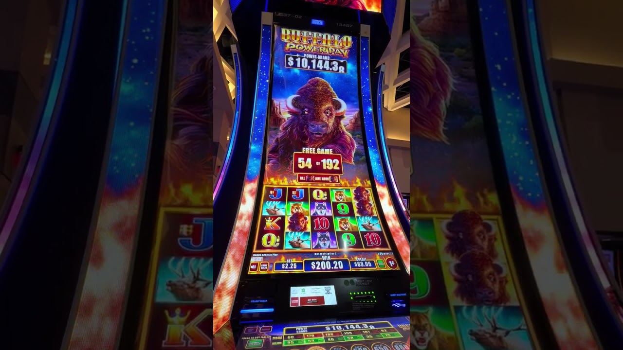 Winning big on buffalo 🦬 slots