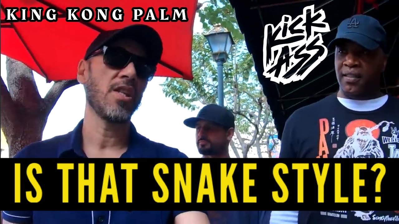 Kung Fu Combat: Snake Style Effective